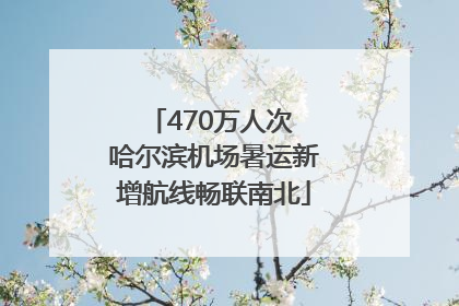 470万人次 哈尔滨机场暑运新增航线畅联南北