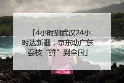 4小时到武汉24小时达新疆，京东助广东荔枝“鲜”到全国
