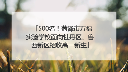 500名！菏泽市万福实验学校面向牡丹区、鲁西新区招收高一新生