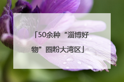 50余种“淄博好物”圈粉大湾区