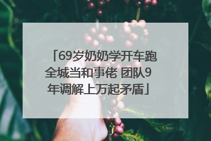 69岁奶奶学开车跑全城当和事佬 团队9年调解上万起矛盾