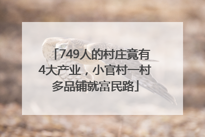 749人的村庄竟有4大产业，小官村一村多品铺就富民路