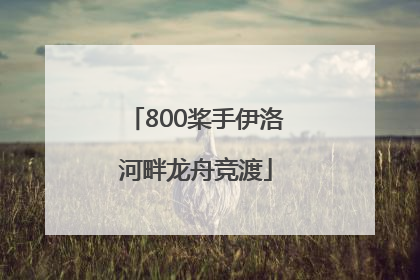 800桨手伊洛河畔龙舟竞渡