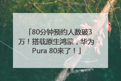 80分钟预约人数破3万！搭载原生鸿蒙，华为Pura 80来了！