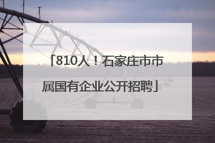 810人！石家庄市市属国有企业公开招聘