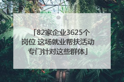 82家企业3625个岗位 这场就业帮扶活动专门针对这些群体