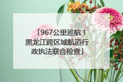 967公里巡航！黑龙江跨区域航道行政执法联合检查