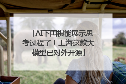 AI下围棋能展示思考过程了！上海这款大模型已对外开源