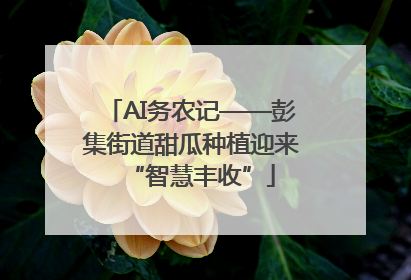 AI务农记——彭集街道甜瓜种植迎来“智慧丰收”