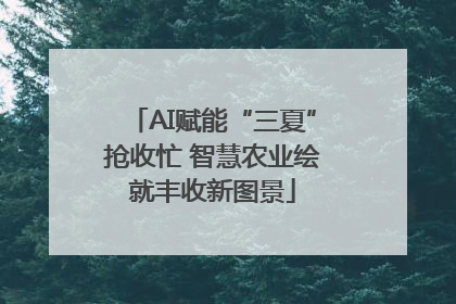 AI赋能“三夏”抢收忙 智慧农业绘就丰收新图景