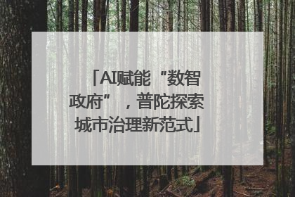AI赋能“数智政府”，普陀探索城市治理新范式