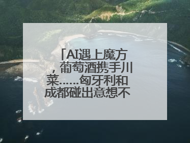 AI遇上魔方，葡萄酒携手川菜……匈牙利和成都碰出意想不到的合作机会