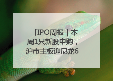 IPO周报｜本周1只新股申购，沪市主板迎尼龙6产业链头部企业