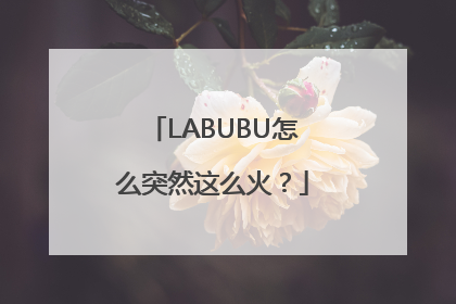 LABUBU怎么突然这么火？
