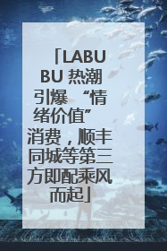LABUBU 热潮引爆 “情绪价值” 消费，顺丰同城等第三方即配乘风而起