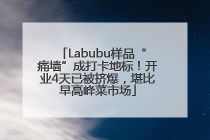 Labubu样品“痛墙”成打卡地标！开业4天已被挤爆，堪比早高峰菜市场