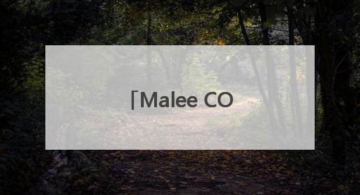 Malee COCO椰子水官宣张凌赫为亚太代言人，以“美不费力”开启健康生活好状态