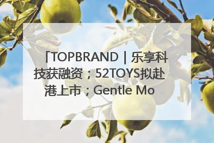 TOPBRAND｜乐享科技获融资；52TOYS拟赴港上市；Gentle Monster合作谷歌；Valentino传播官离职
